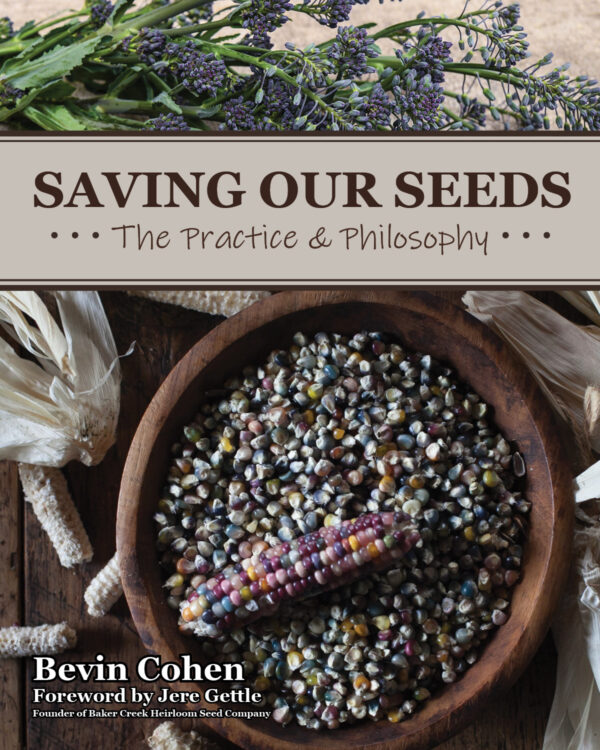 Saving Our Seeds